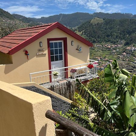Tropical House Villa Ribeira Brava Exteriör bild