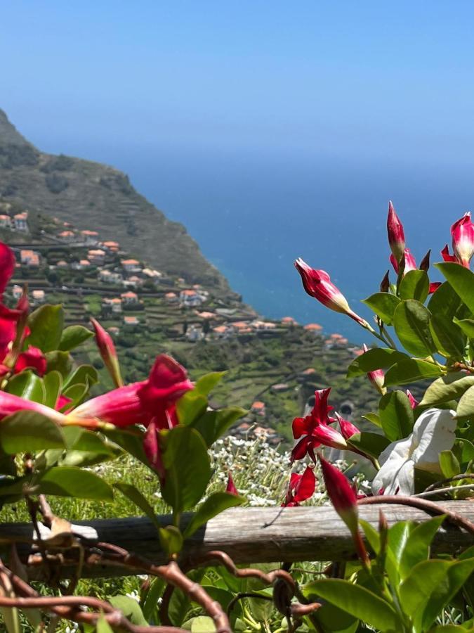 Tropical House Villa Ribeira Brava Exteriör bild