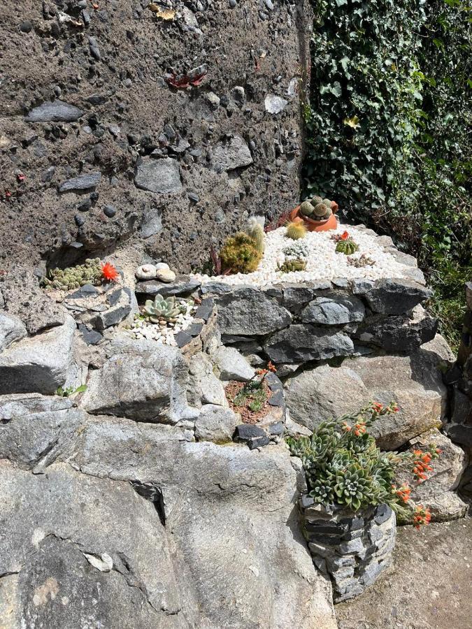 Tropical House Villa Ribeira Brava Exteriör bild