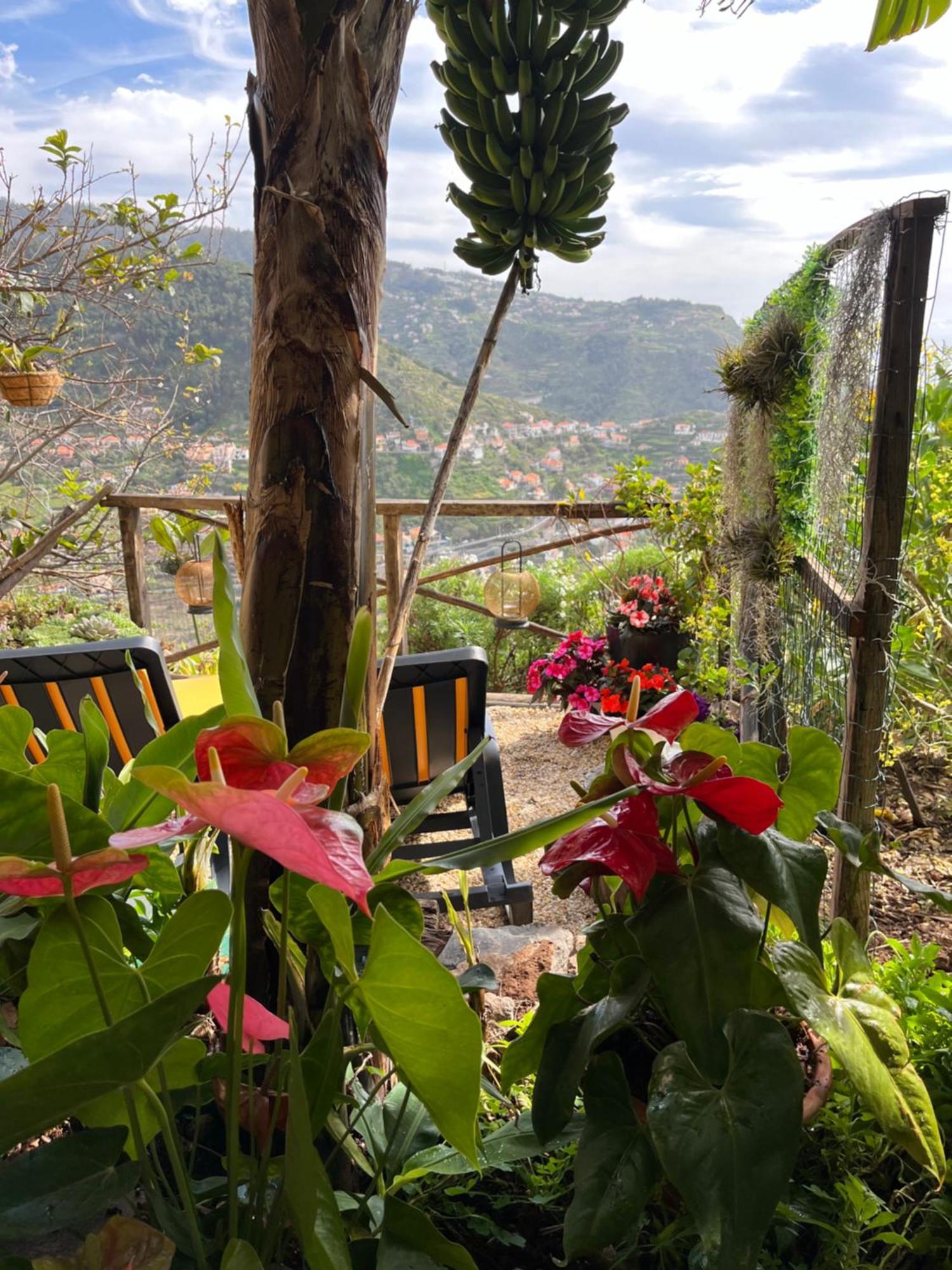 Tropical House Villa Ribeira Brava Exteriör bild