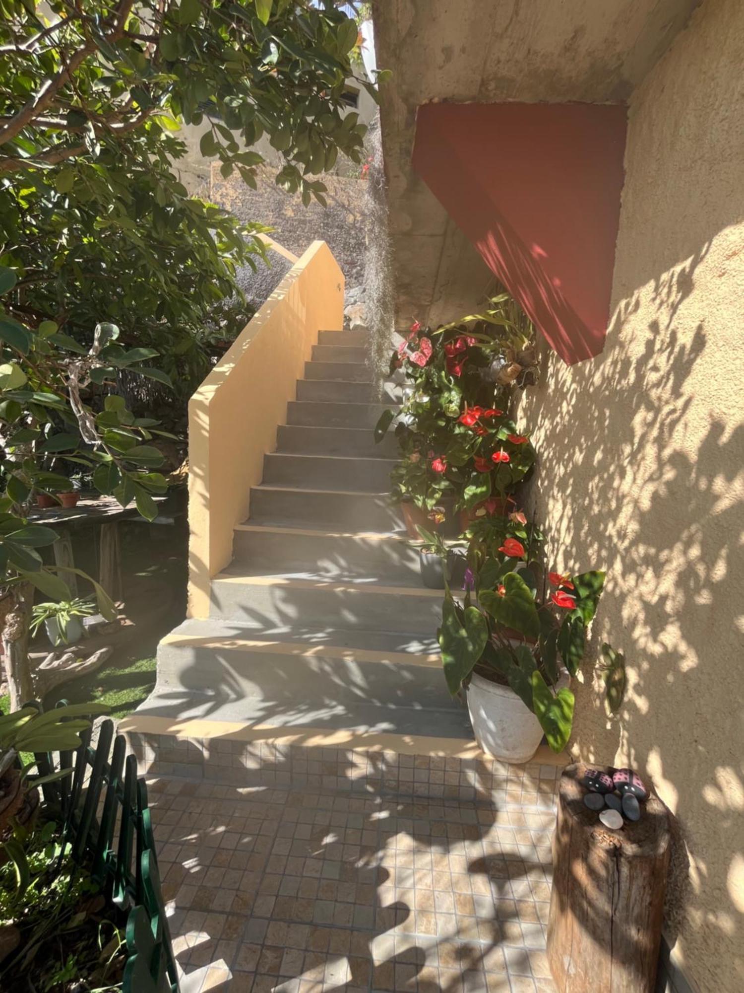 Tropical House Villa Ribeira Brava Exteriör bild
